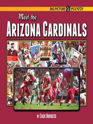 cover image of Meet the Arizona Cardinals